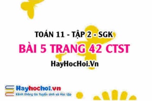 Bài 5 trang 42 Toán 11 tập 2 Chân trời sáng tạo